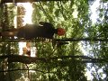 DSC07239