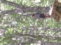 DSC07241