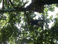 DSC07252