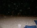 DSC07257