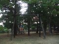DSCF5783