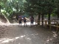 DSCF5789