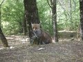 DSCF5793