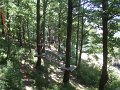 DSCF6021