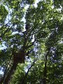 DSCF6023