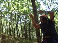 DSCF6038