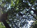 DSCF6046