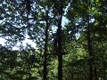DSCF6047