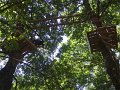 DSCF6070