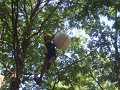 DSCF6077