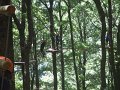 DSCF6078