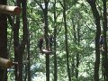 DSCF6079