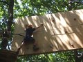 DSCF6081