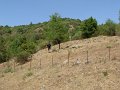 DSCN2615