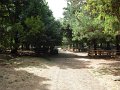 DSCN2652
