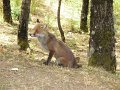 DSCN2667