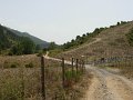 DSCN2683
