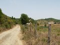 DSCN2684