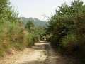 DSCN2704