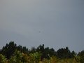 DSCN2754
