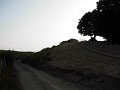 DSCN2786