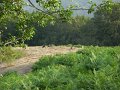 DSCN2788