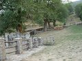 DSCN2808