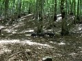 DSCN2863