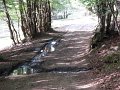 DSCN2874