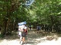 DSCN2884