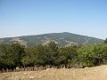 DSCN2890