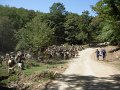 DSCN2895