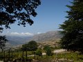 DSCN2909