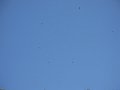 DSCN2985