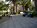DSCN3029