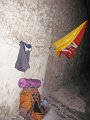 DSCN3037