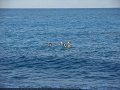 DSCN3067