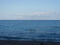 DSCN3068