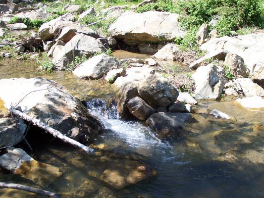 Immagine 047.jpg