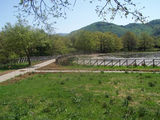 Immagine 108.jpg