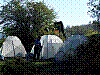 Immagine 019.jpg