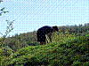 Immagine 030.jpg