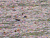 Immagine 125.jpg