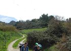 DSCN5697