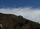 DSCN5731