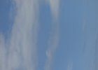 DSCN5744
