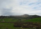 DSCN5835