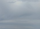 DSCN5855