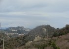 DSCN5856
