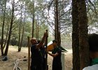 DSCN6206